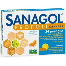 SANAGOL PROPOLI S/Z ARANCIA 24