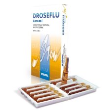 DROSEFLU 10 Fiale Aerosol 2ml