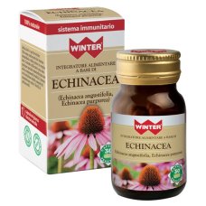 WINTER ECHINACEA 30CPS VEG