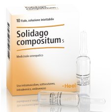 Guna Solidago Compositum Heel 10 Fiale