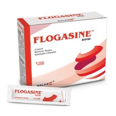 FLOGASINE 20 Bust.1,5g